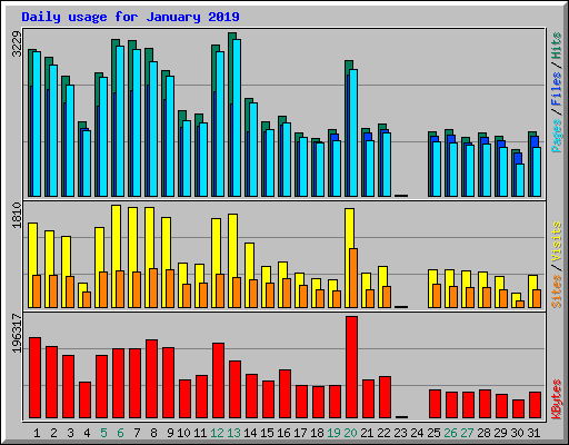Daily usage for January 2019