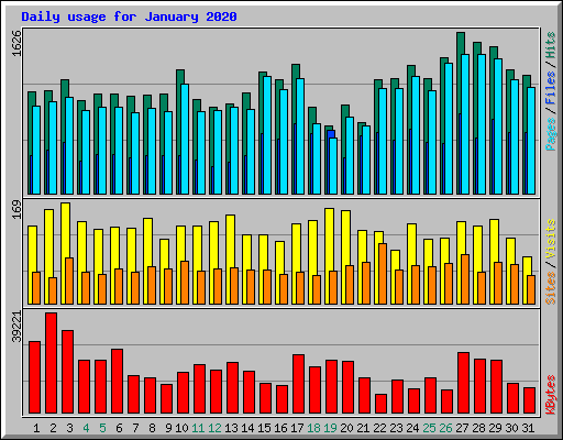 Daily usage for January 2020