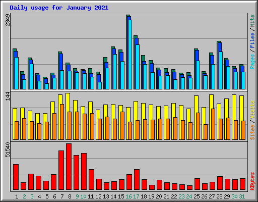 Daily usage for January 2021
