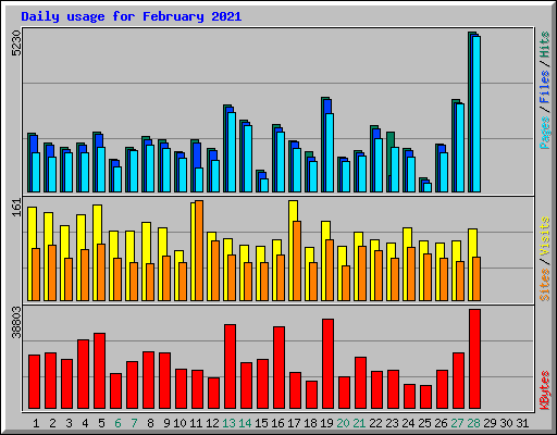 Daily usage for February 2021