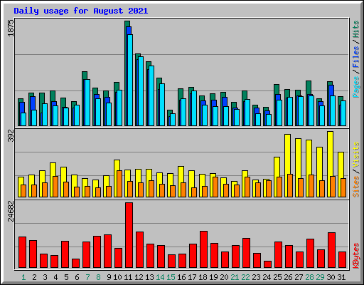 Daily usage for August 2021