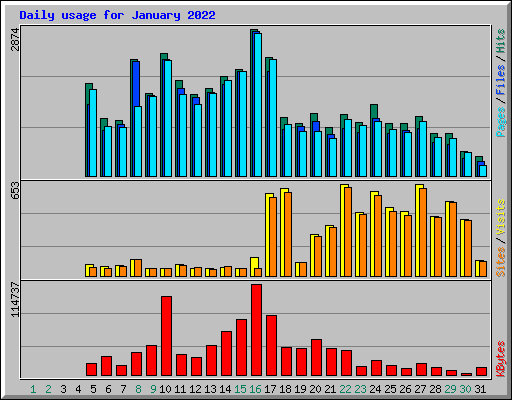 Daily usage for January 2022