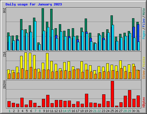 Daily usage for January 2023