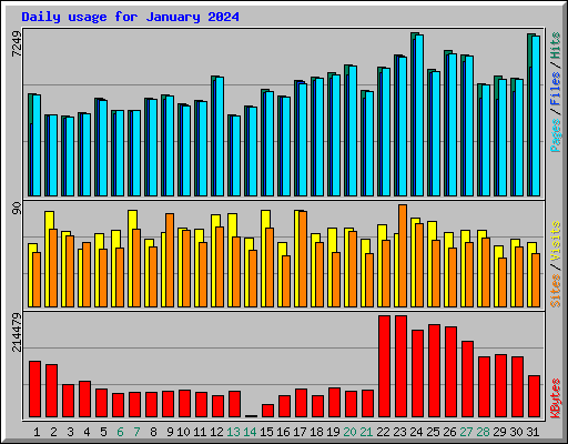 Daily usage for January 2024