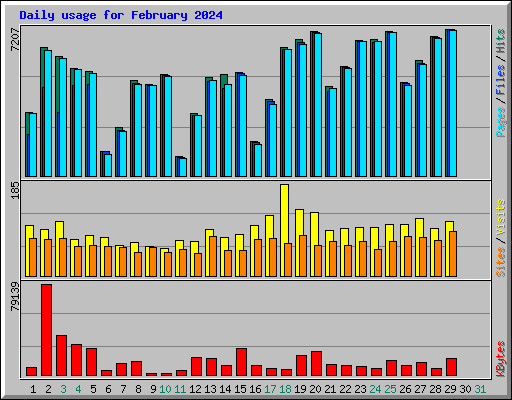 Daily usage for February 2024