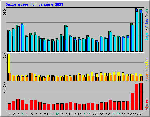 Daily usage for January 2025