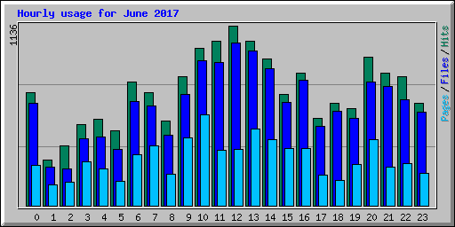 Hourly usage for June 2017