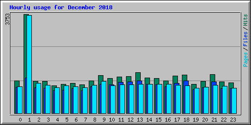 Hourly usage for December 2018