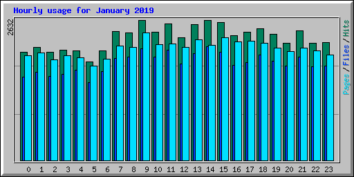 Hourly usage for January 2019