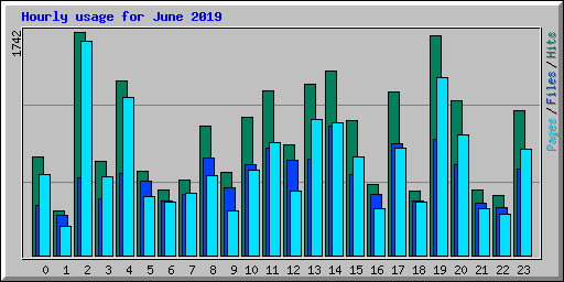 Hourly usage for June 2019