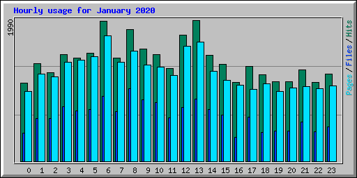 Hourly usage for January 2020