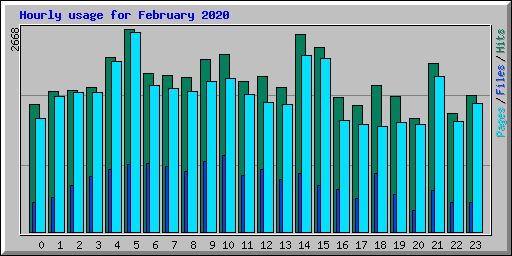 Hourly usage for February 2020