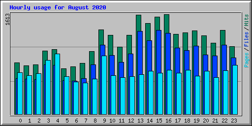 Hourly usage for August 2020