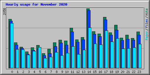 Hourly usage for November 2020