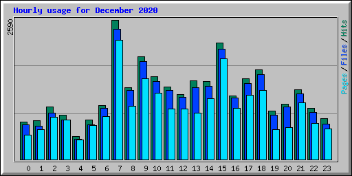 Hourly usage for December 2020
