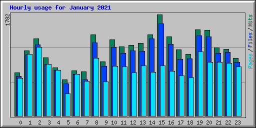 Hourly usage for January 2021