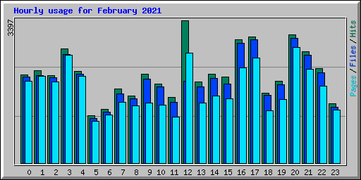 Hourly usage for February 2021
