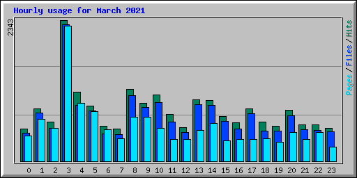 Hourly usage for March 2021
