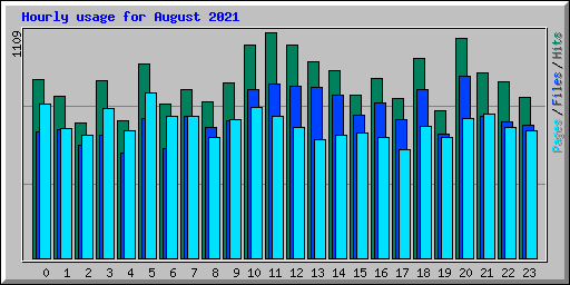 Hourly usage for August 2021