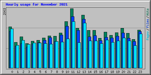 Hourly usage for November 2021