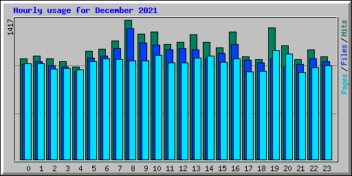 Hourly usage for December 2021