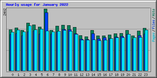 Hourly usage for January 2022