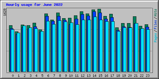 Hourly usage for June 2022