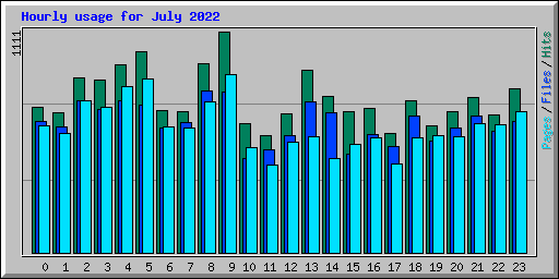 Hourly usage for July 2022