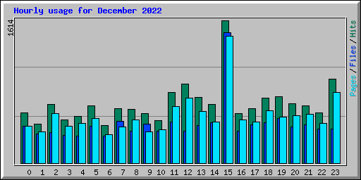 Hourly usage for December 2022