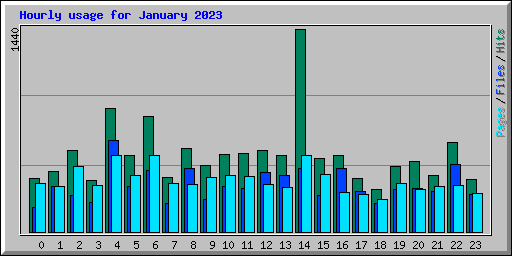 Hourly usage for January 2023