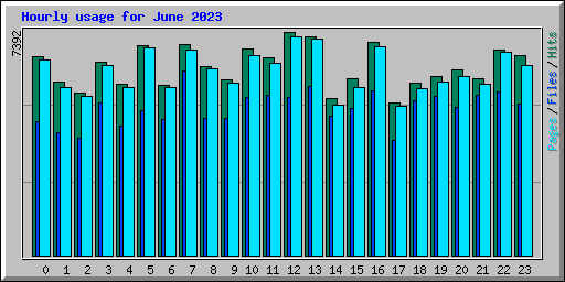 Hourly usage for June 2023