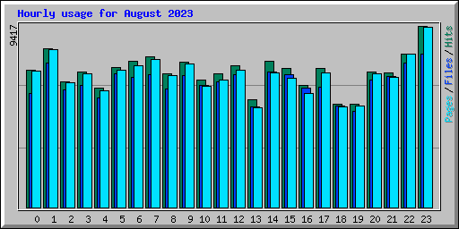 Hourly usage for August 2023