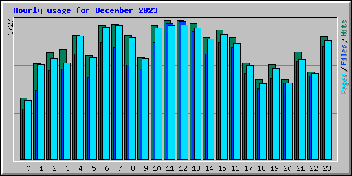 Hourly usage for December 2023