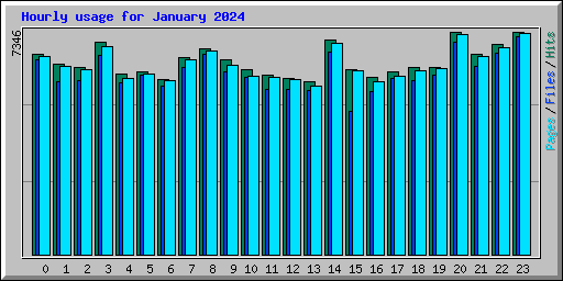 Hourly usage for January 2024