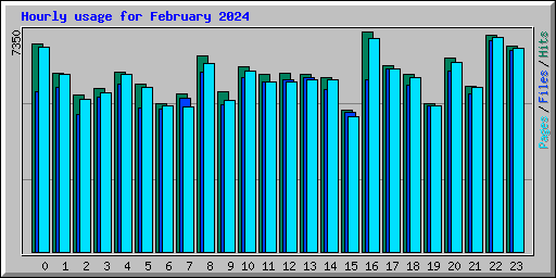 Hourly usage for February 2024
