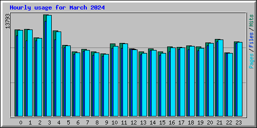 Hourly usage for March 2024