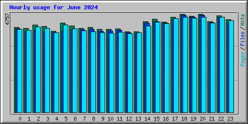 Hourly usage for June 2024