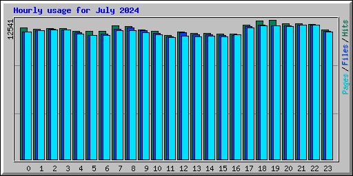 Hourly usage for July 2024
