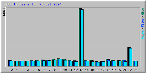 Hourly usage for August 2024