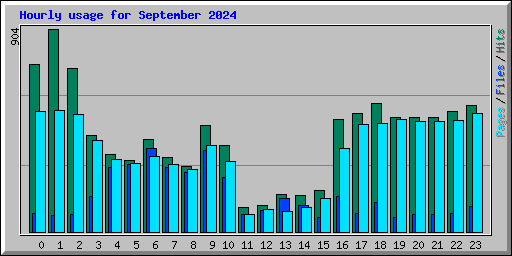 Hourly usage for September 2024