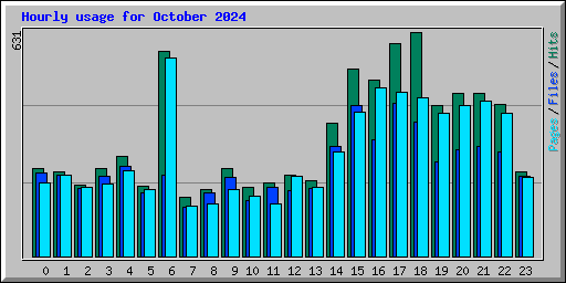 Hourly usage for October 2024