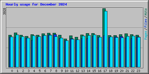 Hourly usage for December 2024