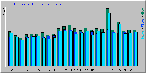 Hourly usage for January 2025
