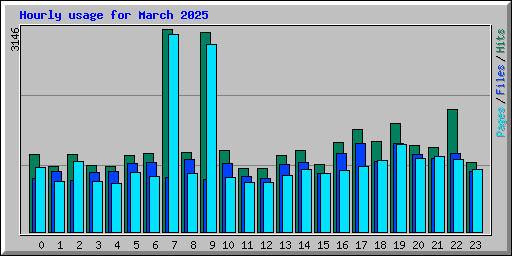 Hourly usage for March 2025