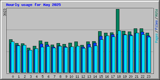 Hourly usage for May 2025
