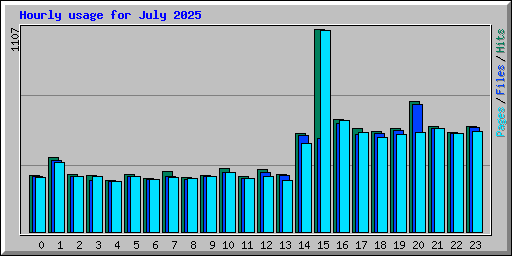 Hourly usage for July 2025