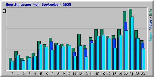Hourly usage for September 2025