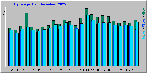 Hourly usage for December 2025