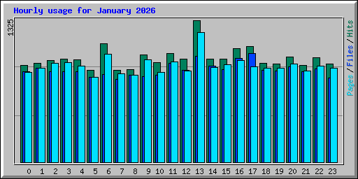 Hourly usage for January 2026